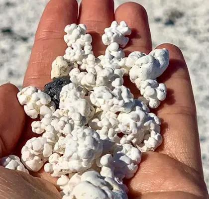 Popcorn Beach in Fuerteventura