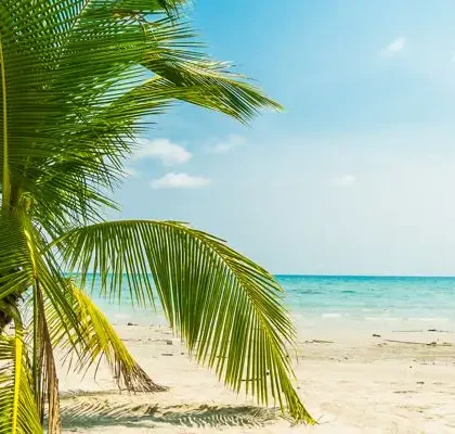 Que hacer en Samana