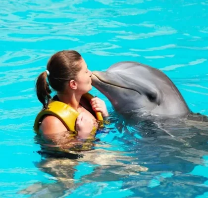 Schwimmen mit Delfinen in Punta Cana