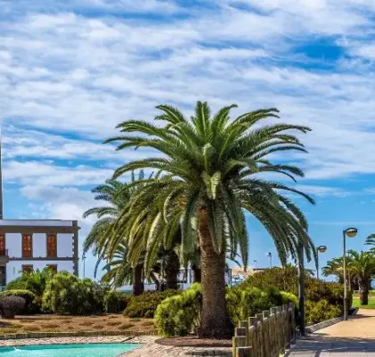 Strand von Meloneras