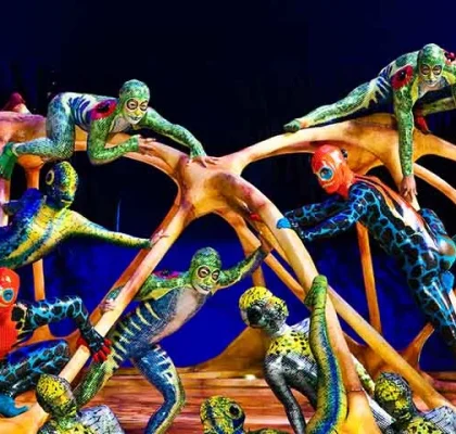 Sun circus Gran Canaria