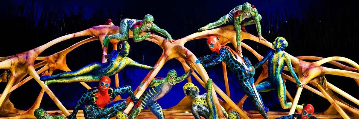 Sun circus Gran Canaria