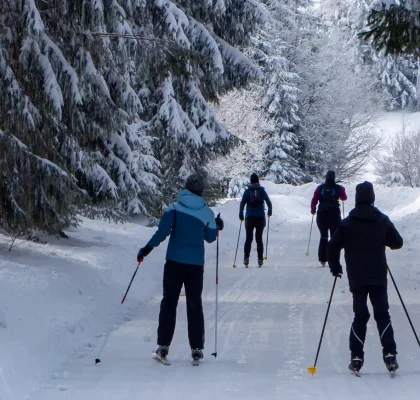 Vogtland ski season