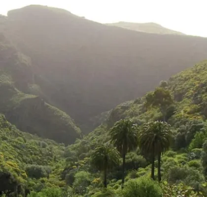 Wanderung im Barranco de Guayadeque