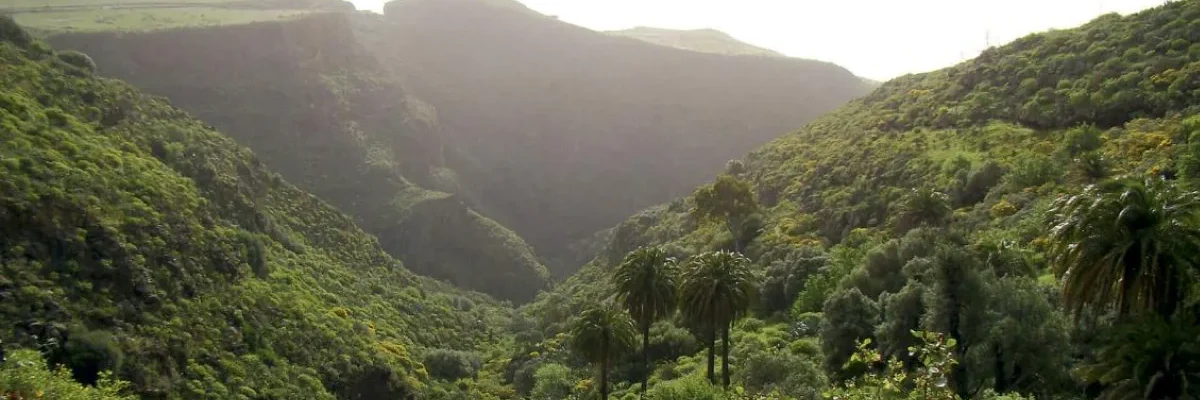 Wanderung im Barranco de Guayadeque