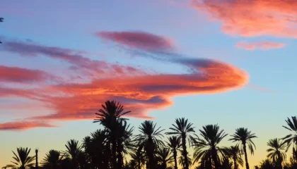 What time does the sun rise in Gran Canaria