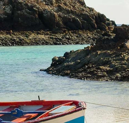 What to see on Isla de Lobos