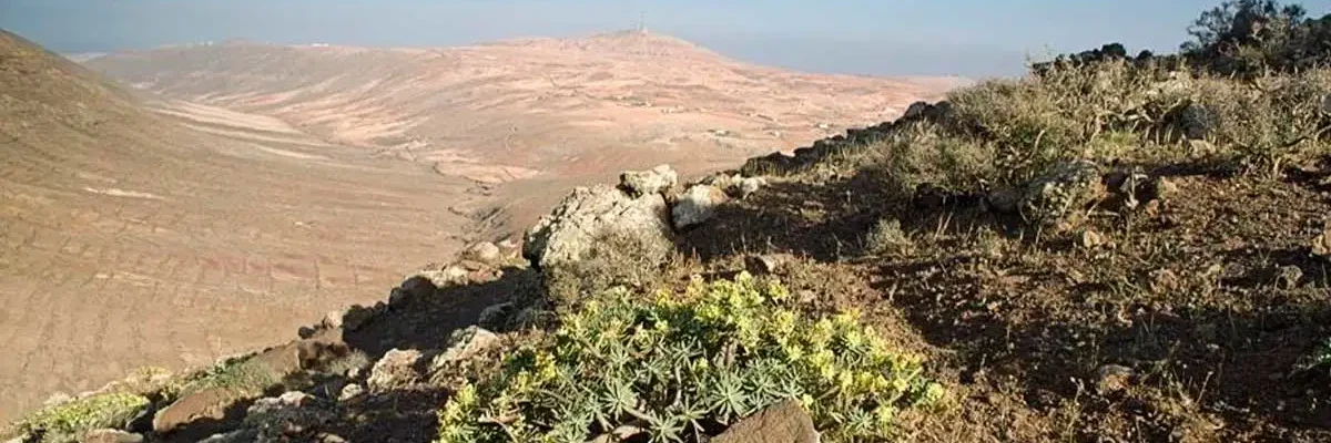 Wie man zum Aussichtspunkt Vallebrón auf Fuerteventura kommt