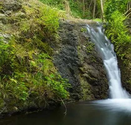 Wo man Wasserfälle auf Gran Canaria sehen kann