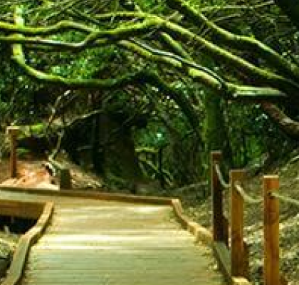 accessible tourism canary islands
