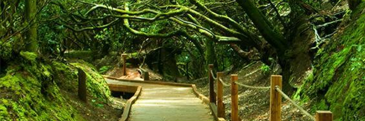 accessible tourism canary islands