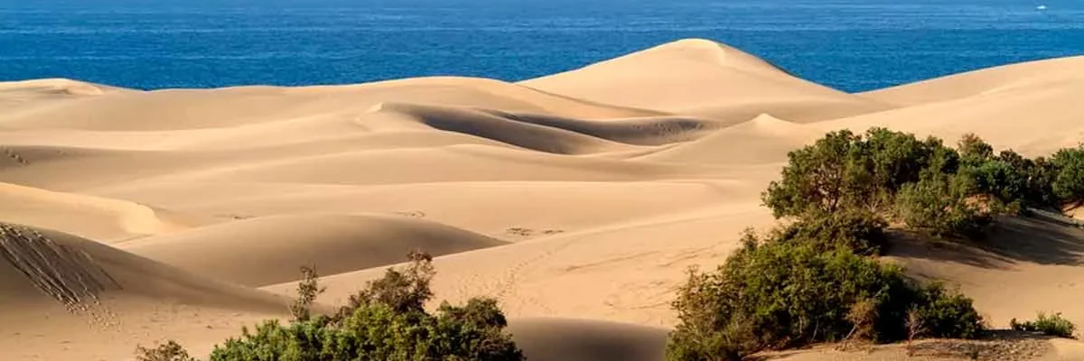actividades gran canaria excursiones