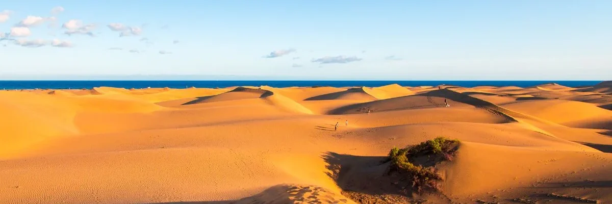 actividades maspalomas