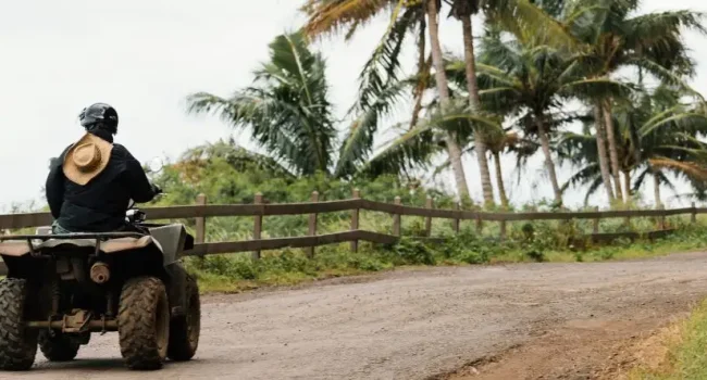 activities in Punta Cana