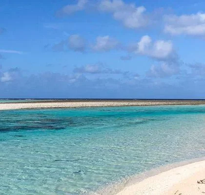 bahía de las águilas