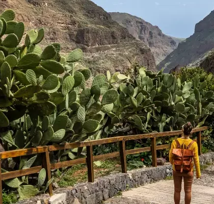 barranco de guayadeque