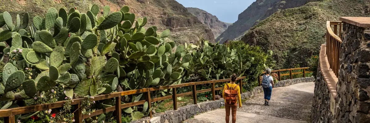 barranco de guayadeque