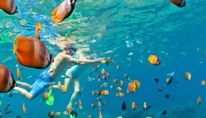 best snorkeling spots in Punta Cana