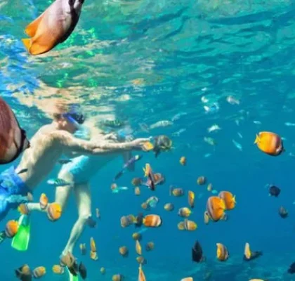 best snorkeling spots in Punta Cana