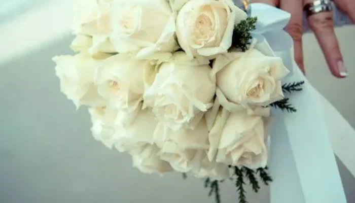 bodas en punta cana