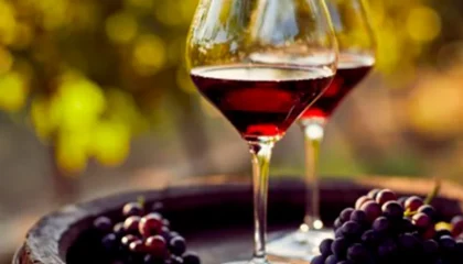 bodegas gran canaria