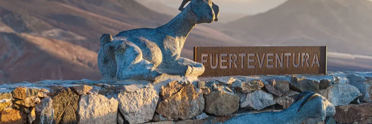como ir a fuerteventura