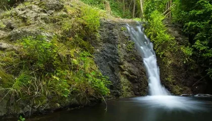 donde ver cascadas gran canaria