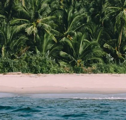 el tiempo en punta cana noviembre
