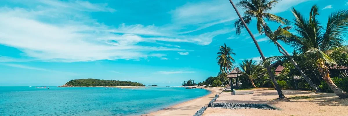 end-of-school trip to Punta Cana