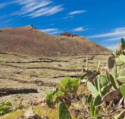 fuerteventura malpais grande
