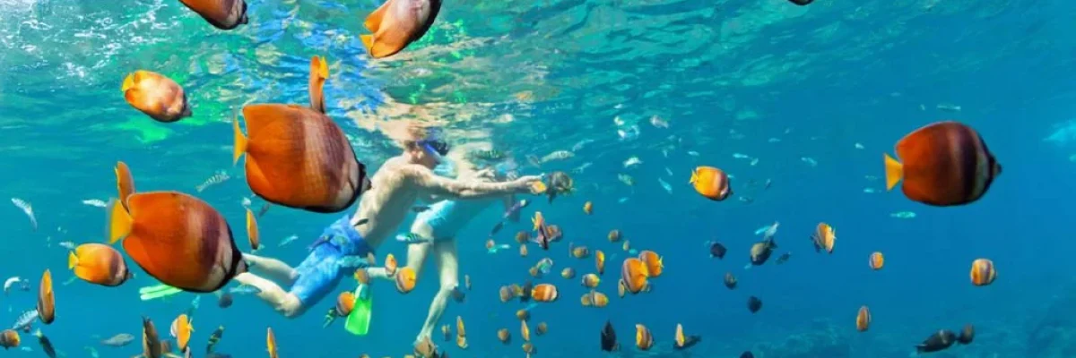 mejores lugares snorkel punta cana