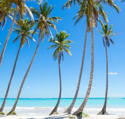 playa Juanillo Punta Cana
