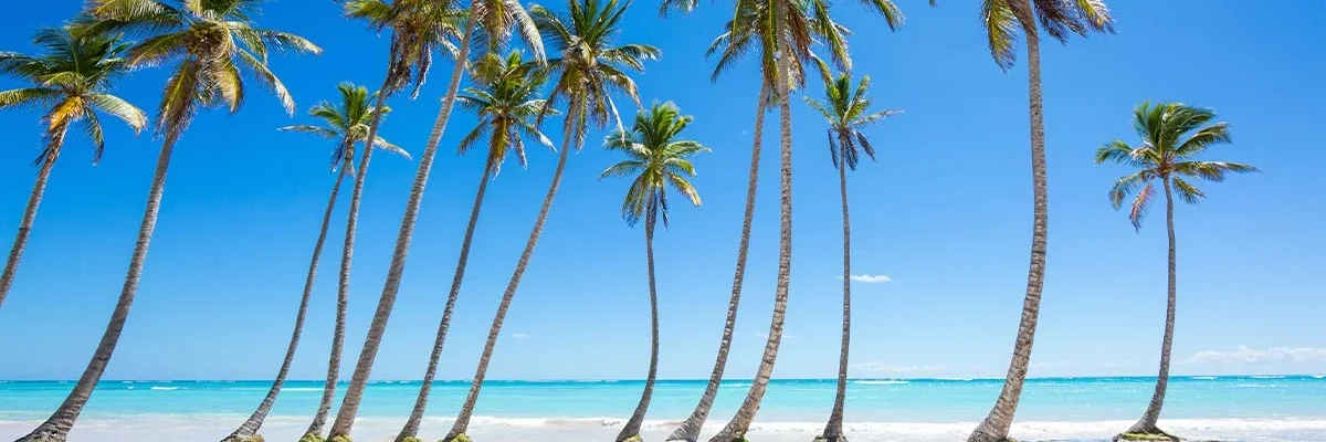 playa Juanillo Punta Cana