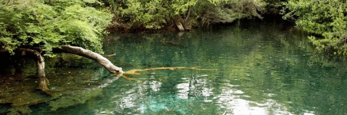 punta cana ojos indigenas