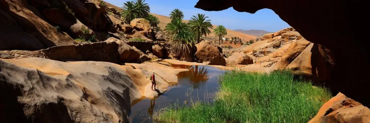 que hacer en fuerteventura en una semana