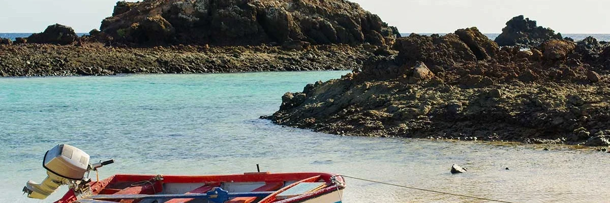 que ver en isla de lobos