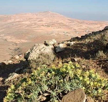 sendero y el mirador de Vallebrón en Fuerteventura