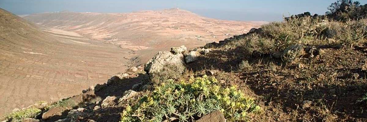 sendero y el mirador de Vallebrón en Fuerteventura