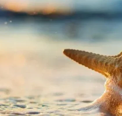 souvenirs de punta cana