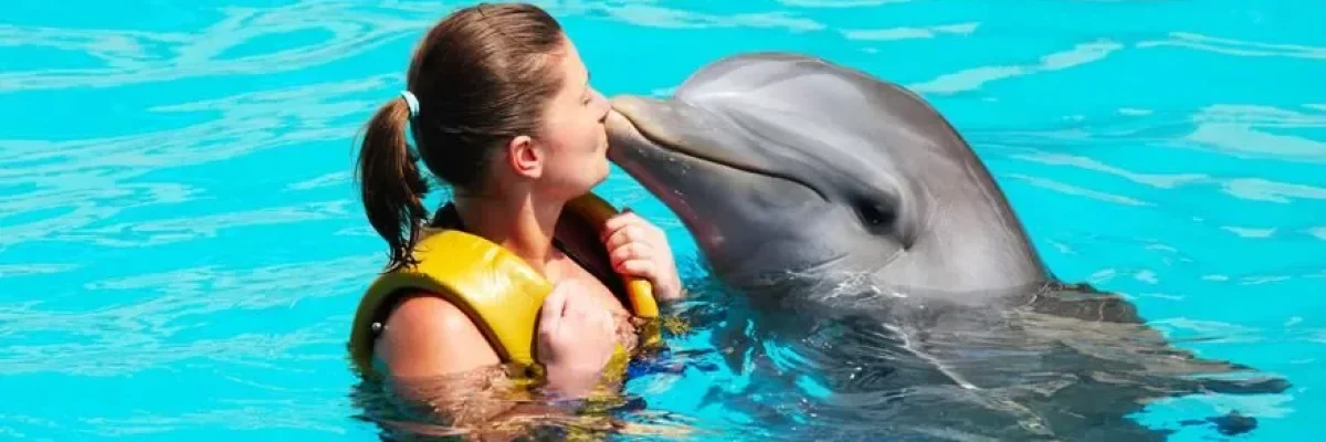 swimming with dolphins in Punta Cana