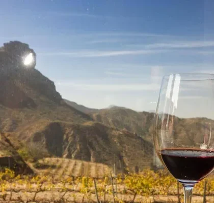 vinos de las islas canarias