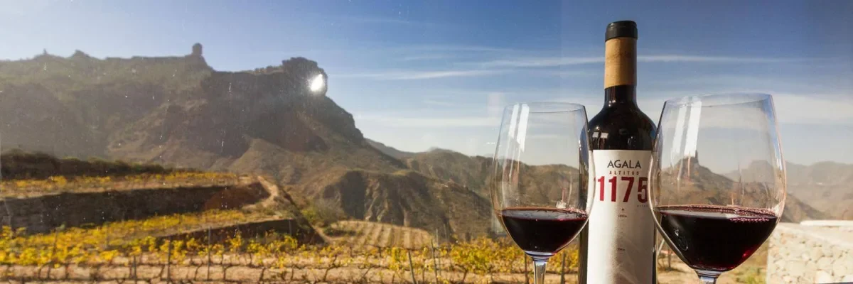 vinos de las islas canarias