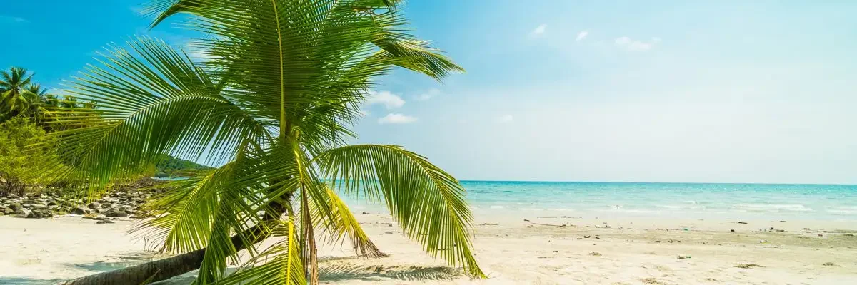 was man in Samaná unternehmen kann