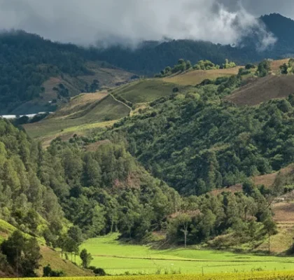 what to do in Constanza