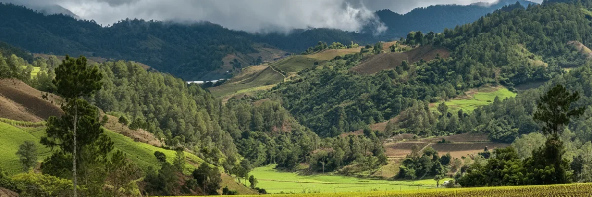 what to do in Constanza