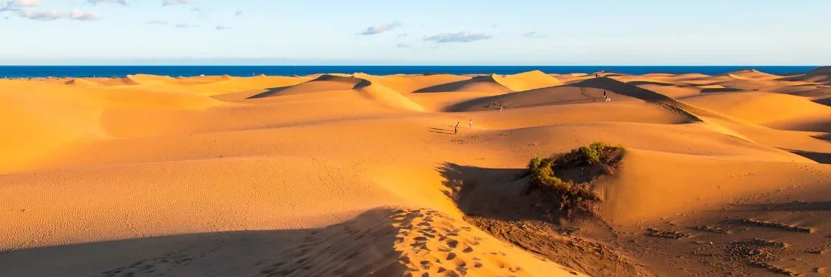 what to do in Playa del Inglés