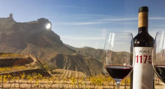 wines of the Canary Islands