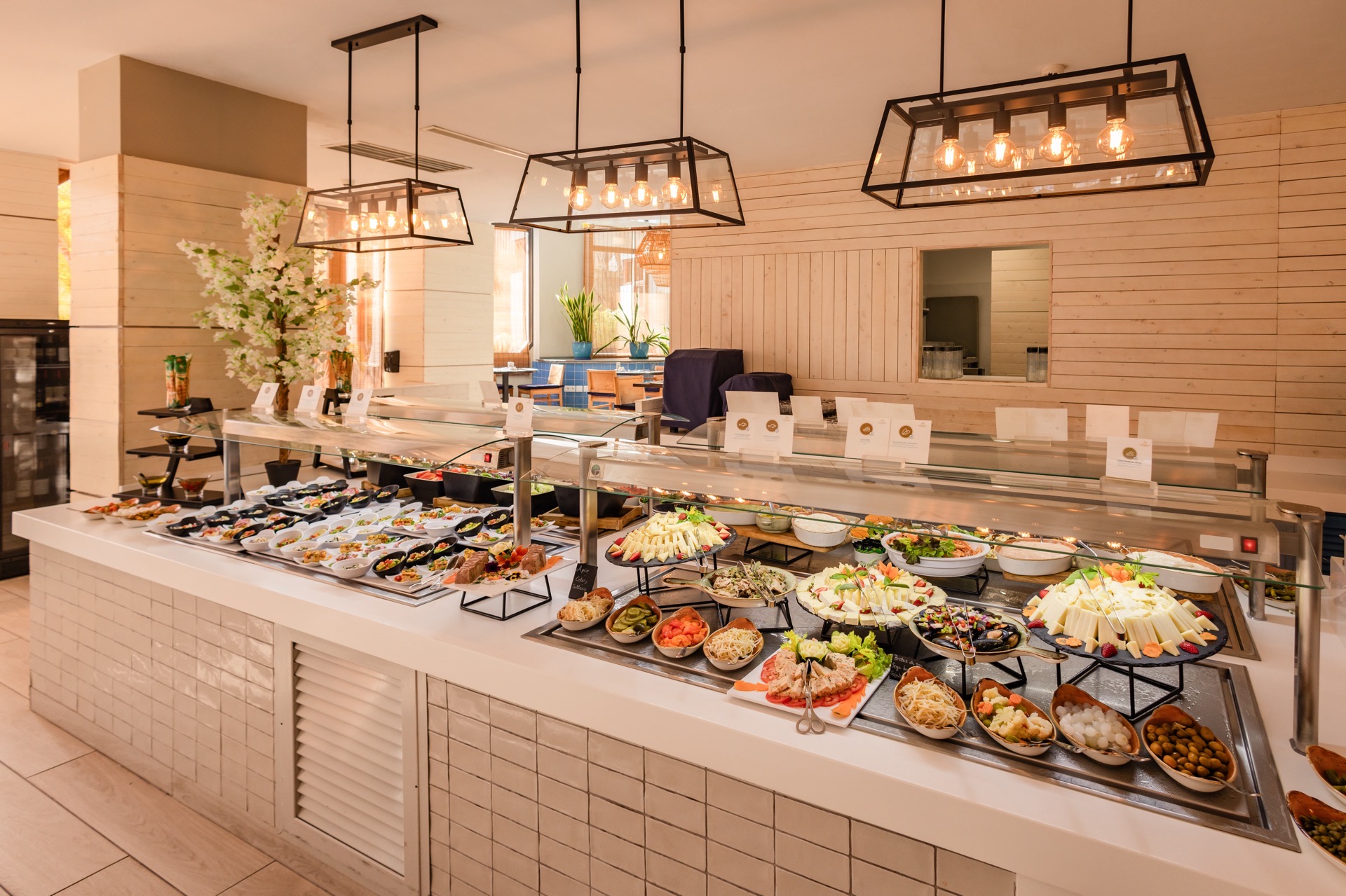 photos corallium beach by lopesan hotels buffet area