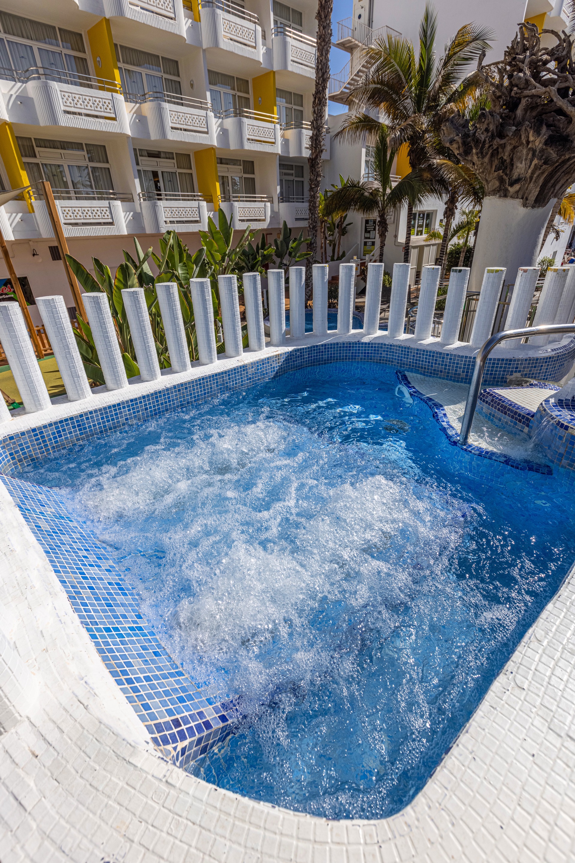 abora catarina fotos aboritos club