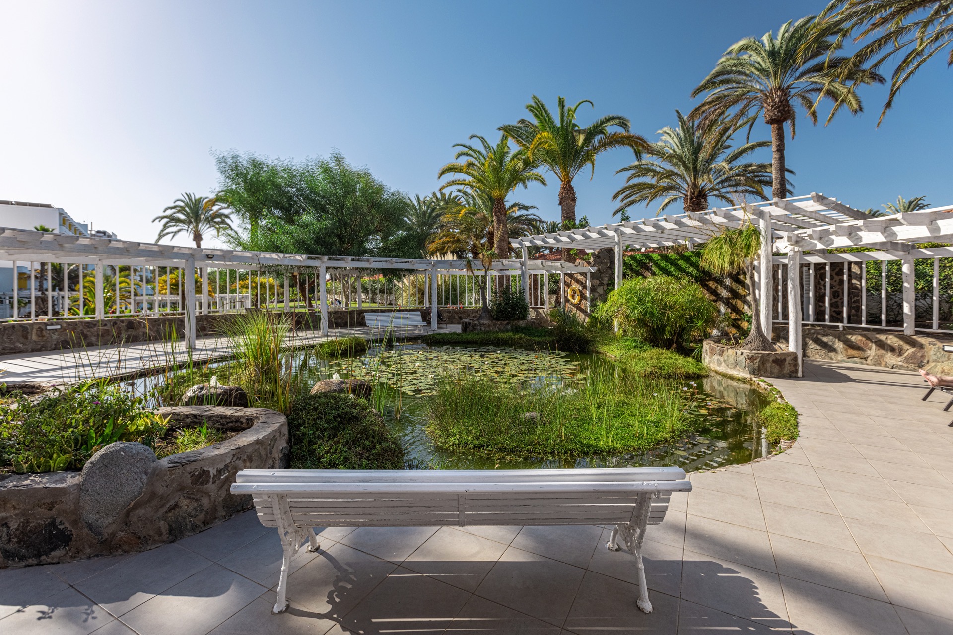 abora catarina fotos garten